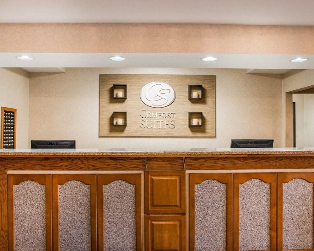 Comfort Suites South Haven Near I-96 מראה חיצוני תמונה