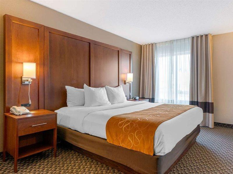 Comfort Suites South Haven Near I-96 מראה חיצוני תמונה