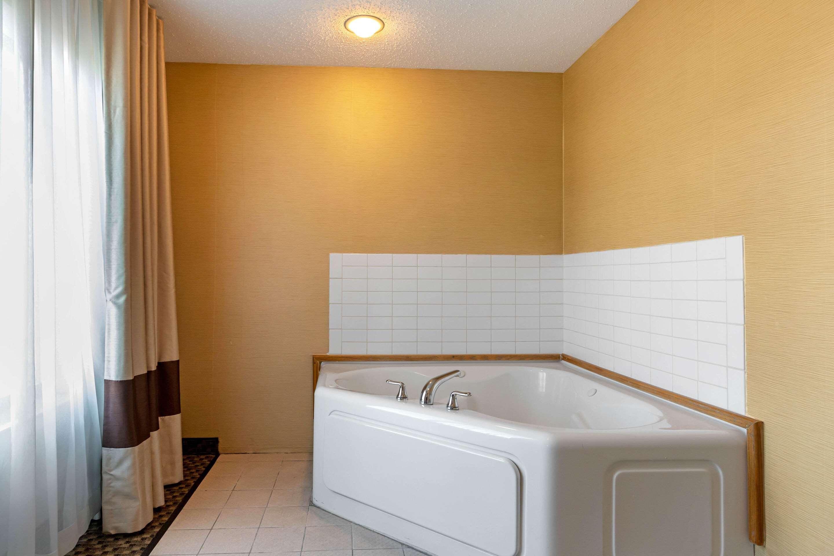 Comfort Suites South Haven Near I-96 מראה חיצוני תמונה