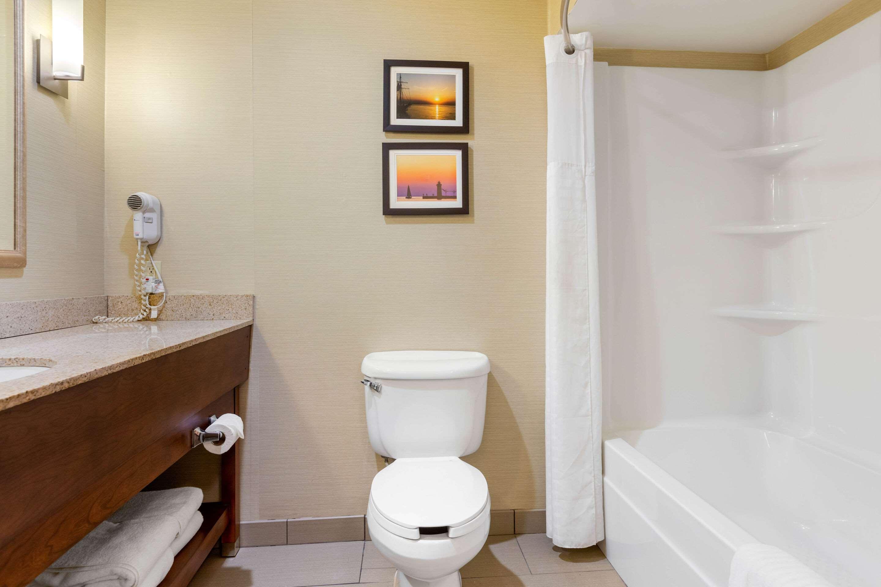 Comfort Suites South Haven Near I-96 מראה חיצוני תמונה